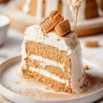 Vegan Biscoff Cookie Butter Cake